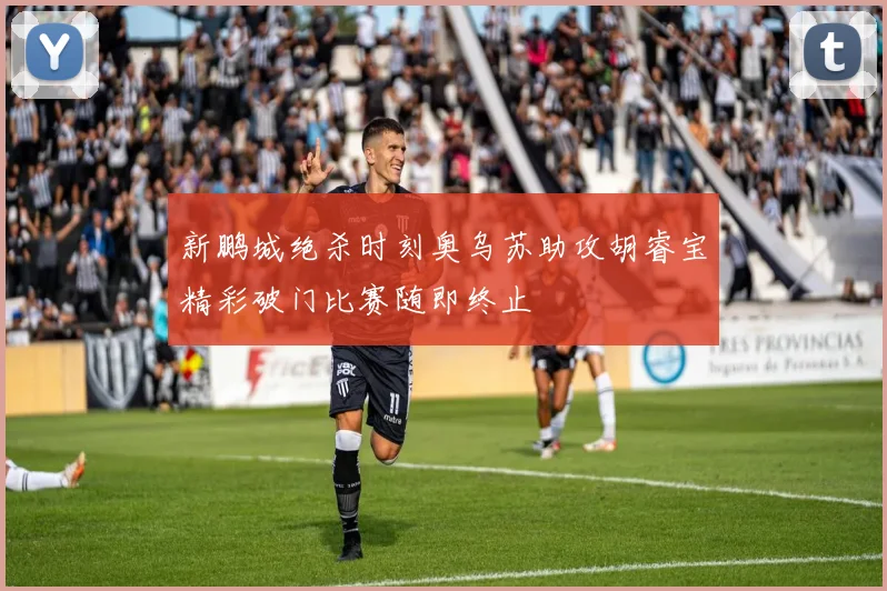 新鹏城绝杀时刻奥乌苏助攻胡睿宝精彩破门比赛随即终止